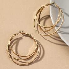 Load image into Gallery viewer, Intertwined Hoop Earrings
